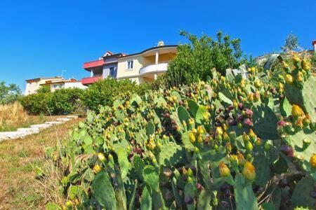 Villa Lucija Pula Dış mekan fotoğraf